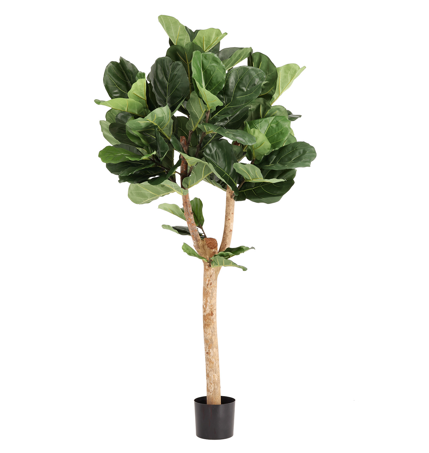 Artificial Lyrata (170 cm) Artificial Lyrata (170 cm)
