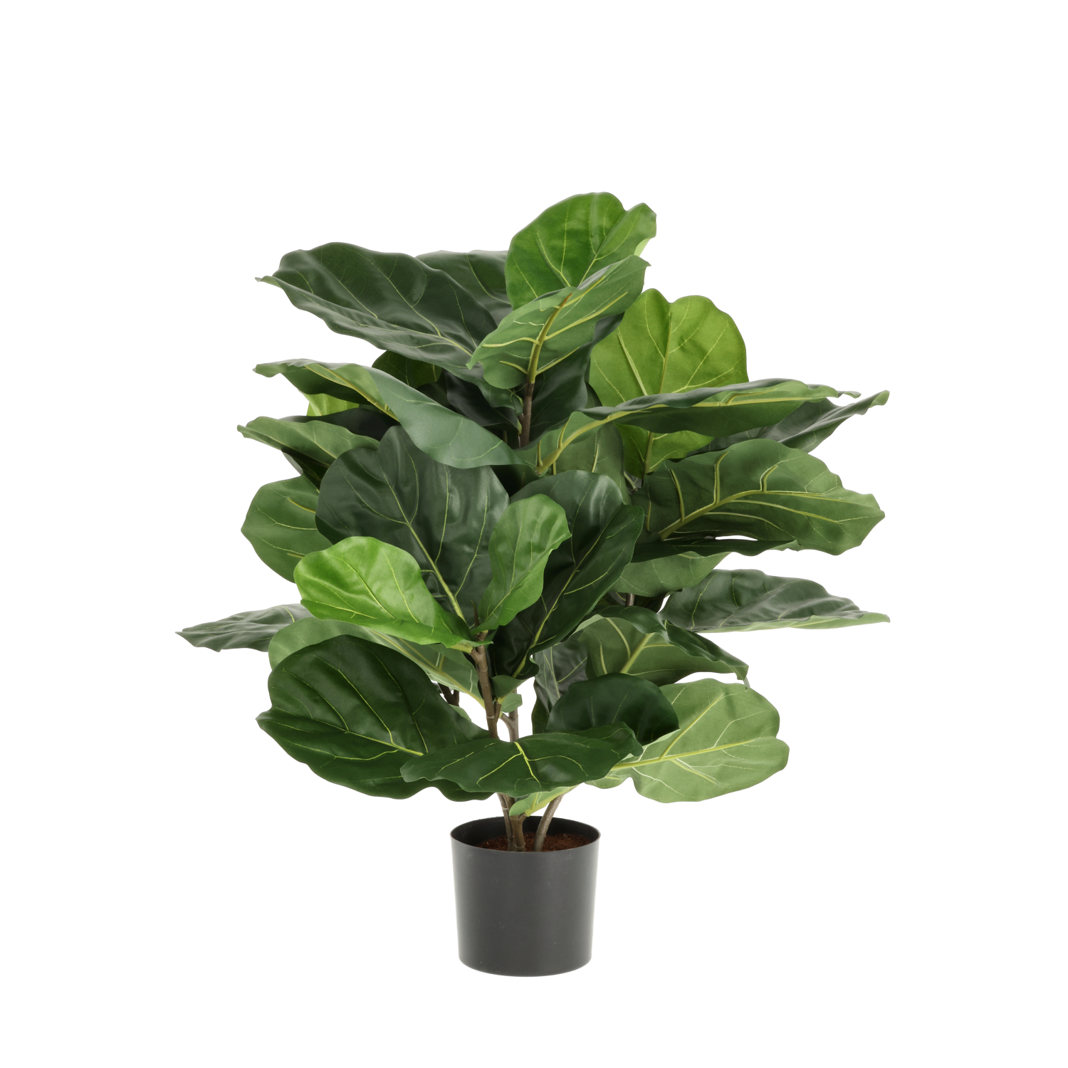 Dirbtinis augalas Lyrata (90 cm)