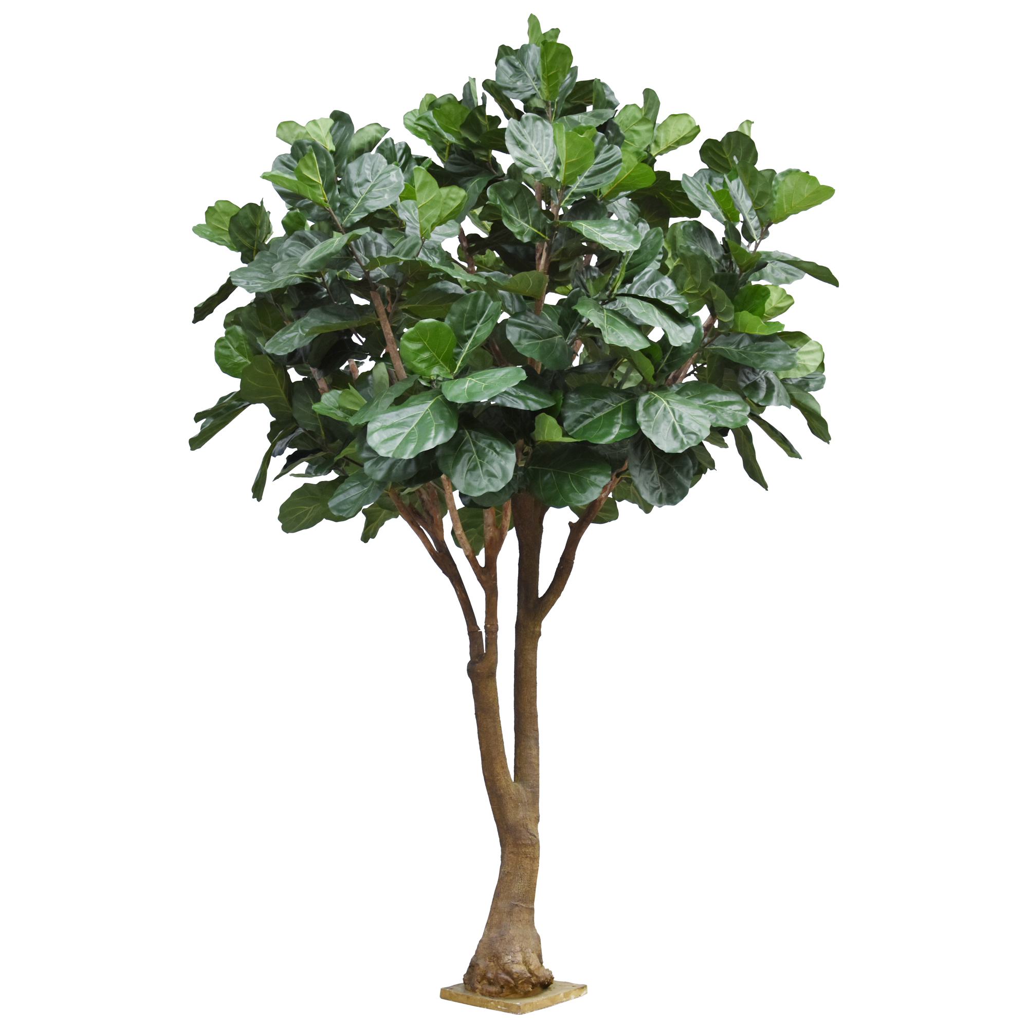 Artificial Lyrata (350 cm)