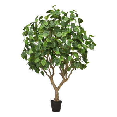 Konstgjord Ficus Umbellata (250 cm)