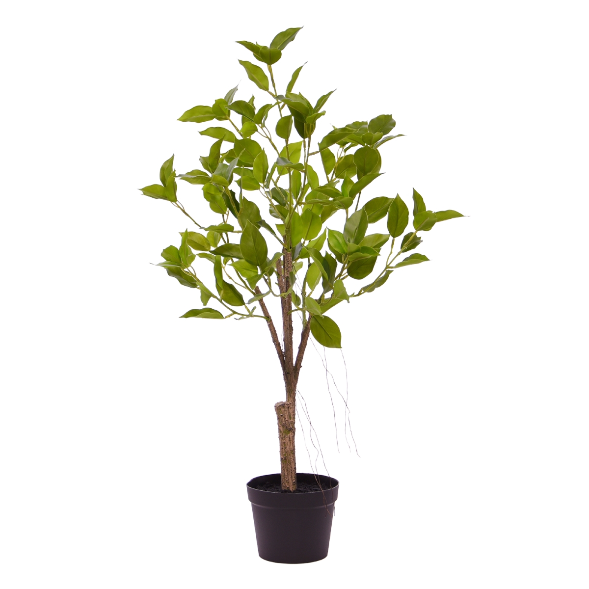 Plante artificielle Ficus Natacha Bonsaï (60 cm)