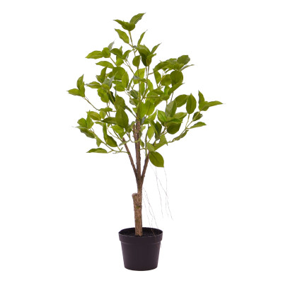 Konstgjord Ficus Natacha Bonsai (60 cm)