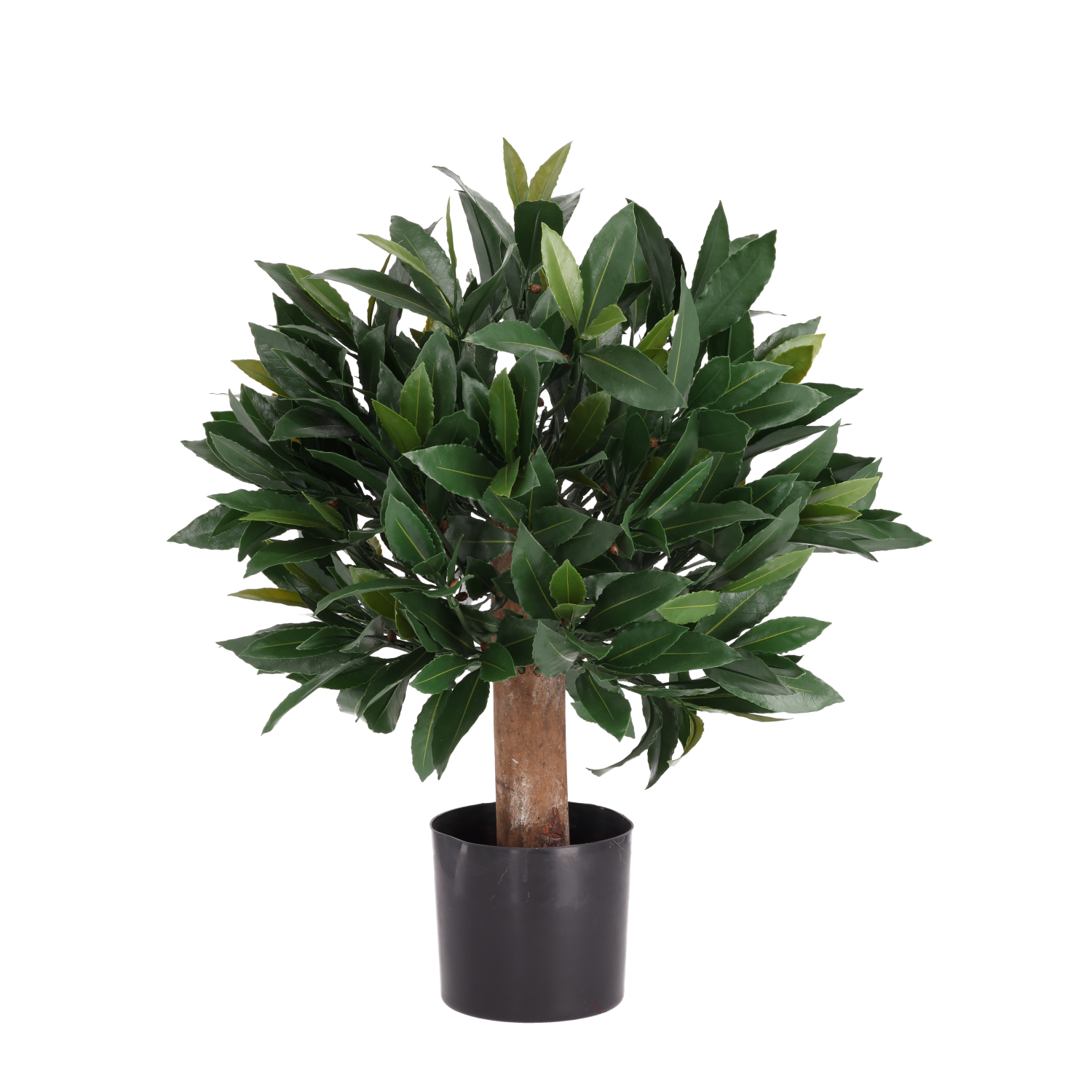 Artificial Laurel (45 cm) UV