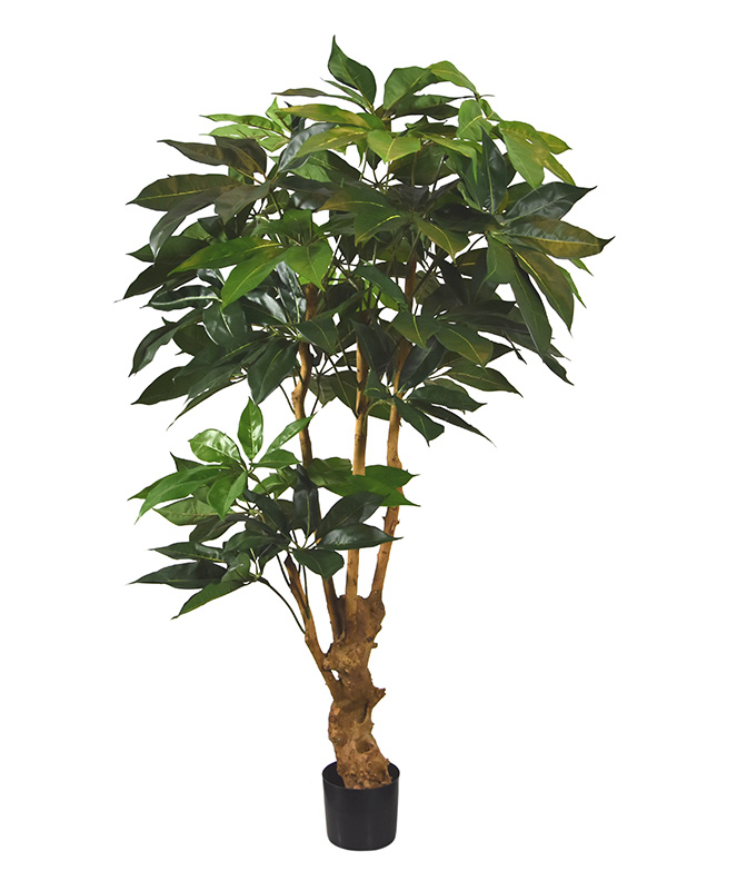 Plante artificielle Arbre Schefflera (165 cm)