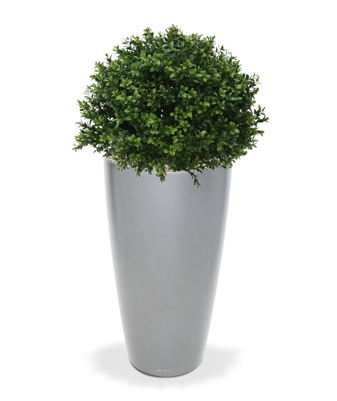 Konstgjord Buxbom (40 cm) Konstgjord Buxbom (40 cm)