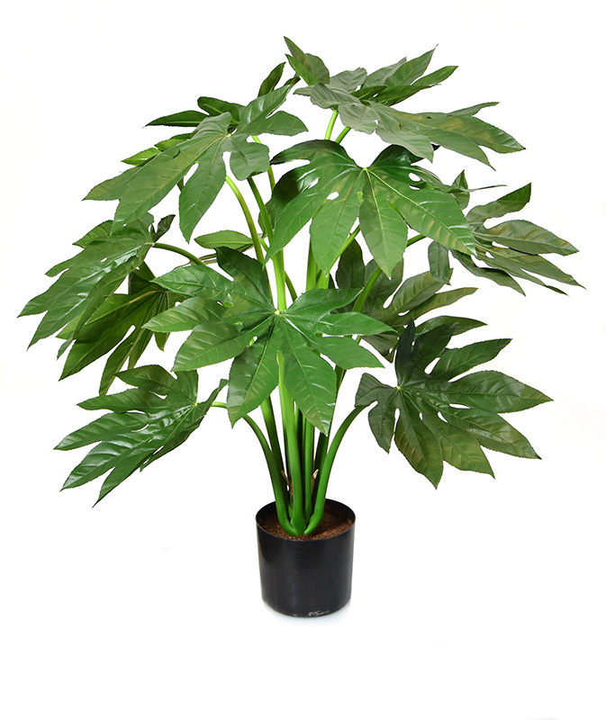 Planta artificial Fatsia Japonica (80 cm)