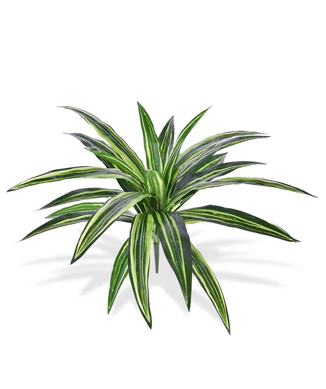 Dirbtinis Dracena 40 cm Dirbtinis Dracena 40 cm