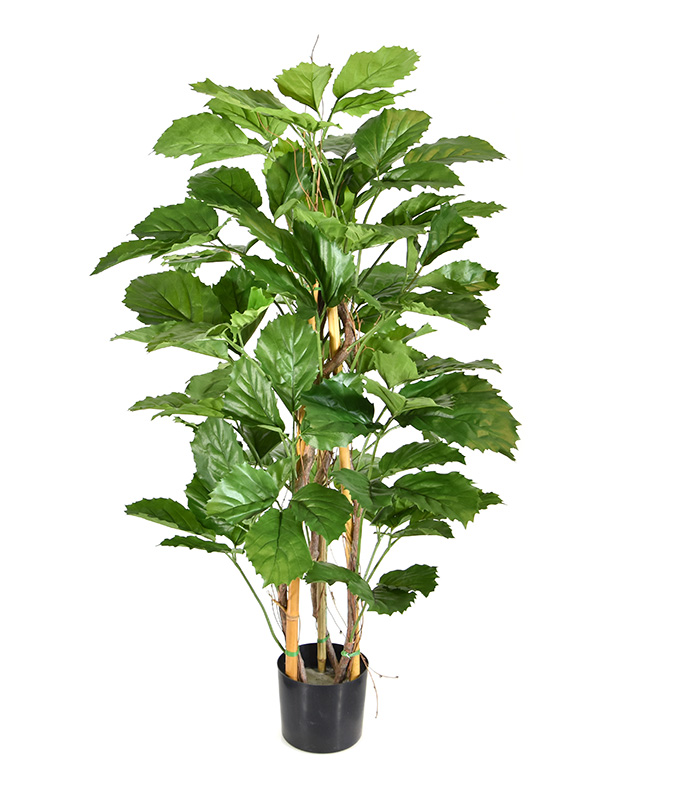 Planta artificial Tetrastigma (120 cm)