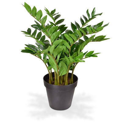 Zamioculcas mākslīgais augs 70 cm katlā