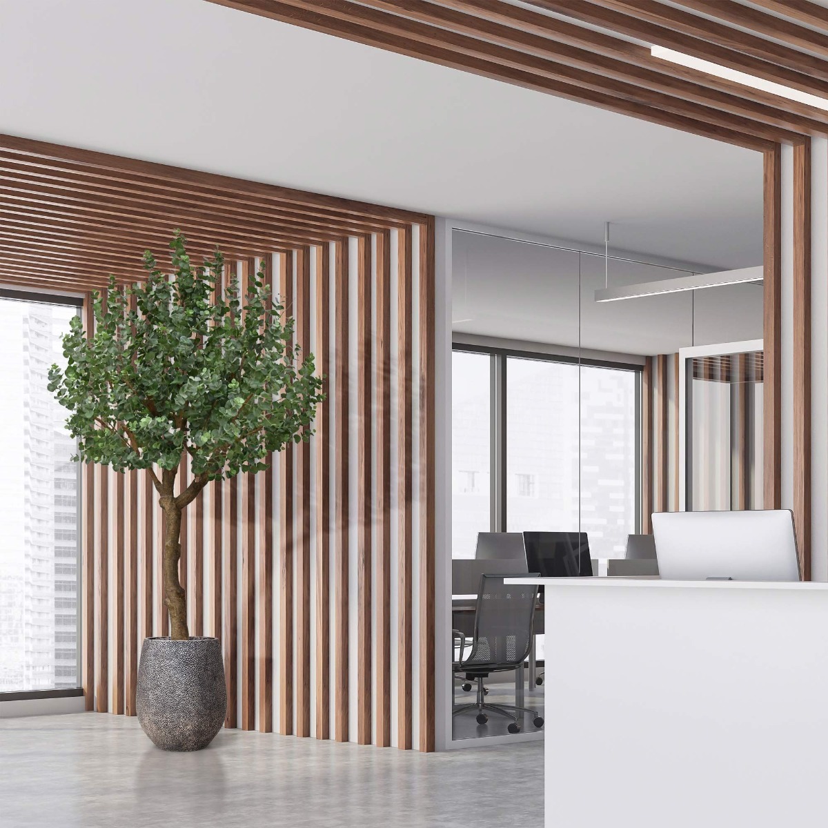 Dirbtinis medis Eukaliptas XL (300 cm)