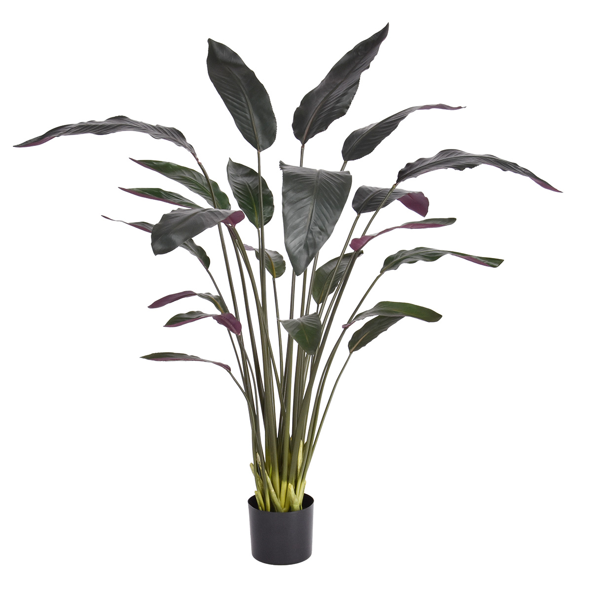 Artificial Calathea (140 cm) Artificial Calathea (140 cm)