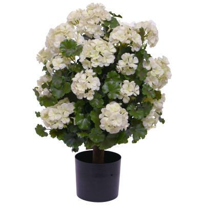 Geranium UV (50 cm)