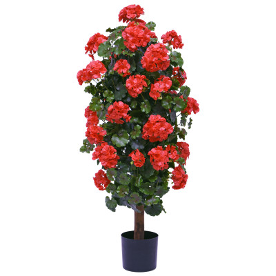 Geranium odporne na działanie promieni UV (120 cm)