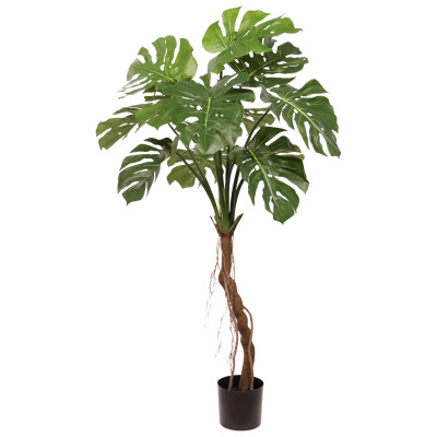 Monstera (130 cm)