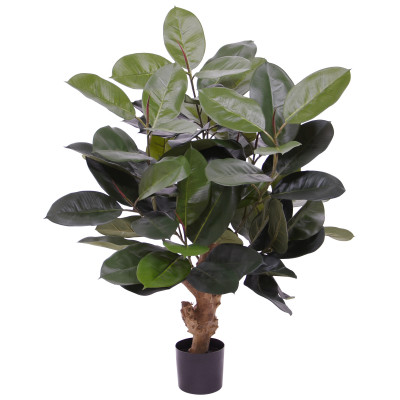 Ficus (95 cm)