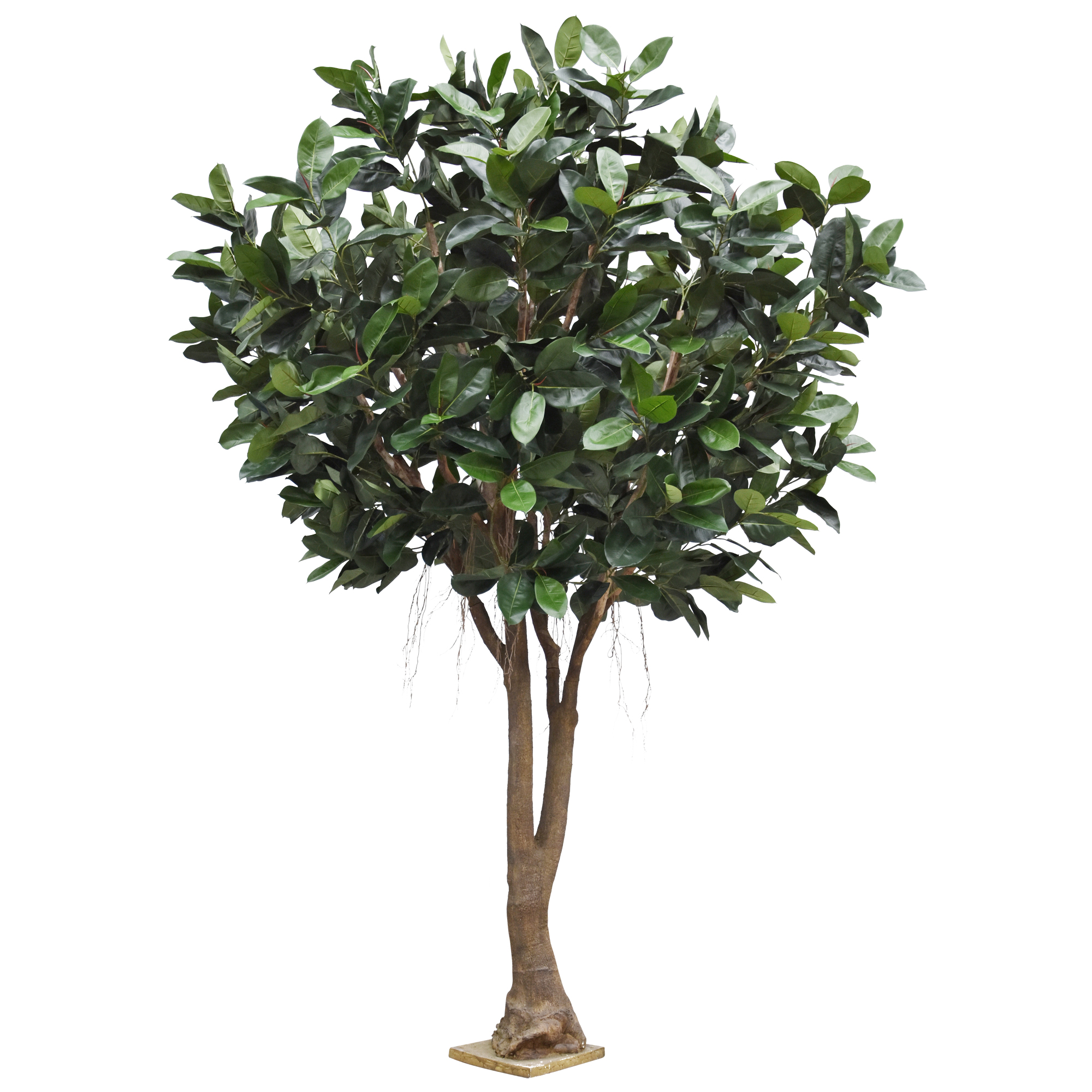 Artificial Ficus Elastica (350 cm)