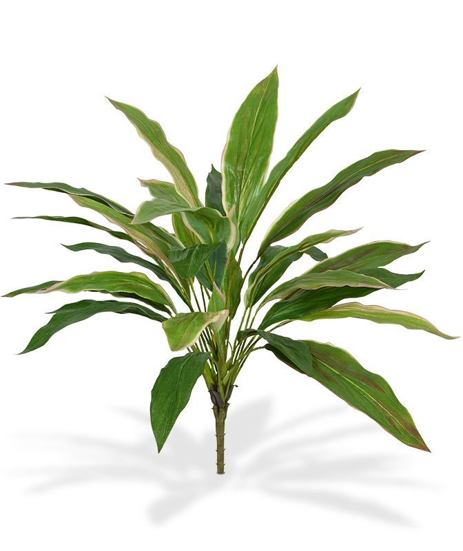 Artificial Draceana bouqet (40 cm) NT Artificial Draceana bouqet (40 cm) NT
