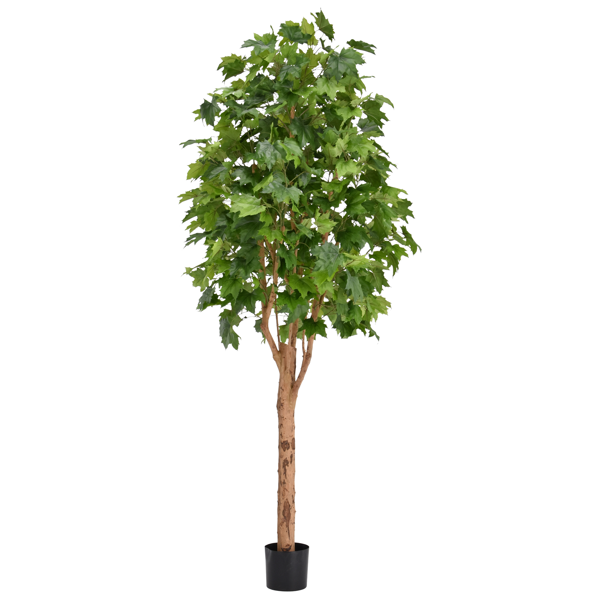 Artificial Maple (250 cm)