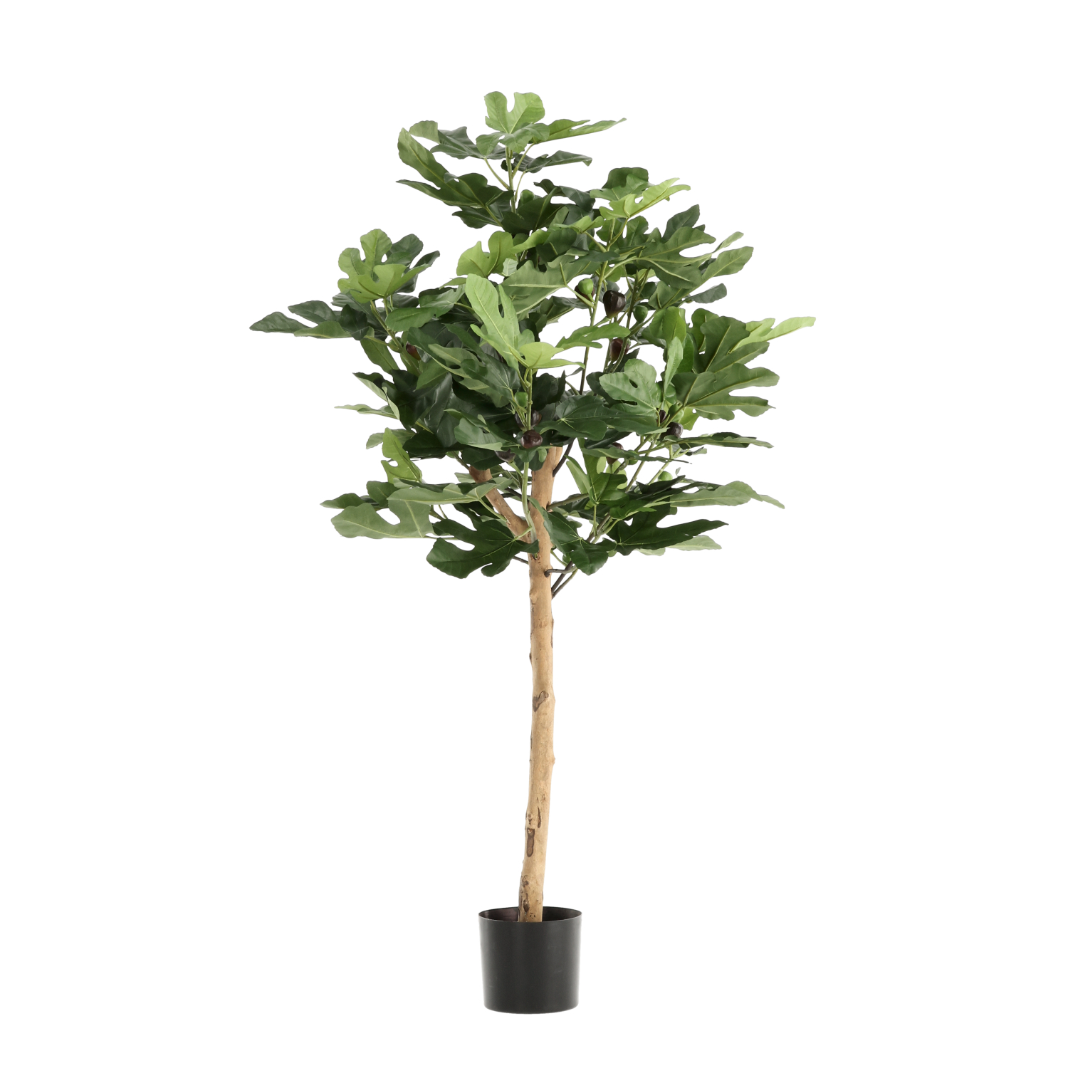 Dirbtinis medis Fikusas (110 cm)