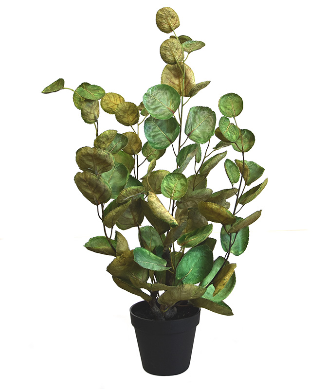 Planta artificial Aralia Polyscias (60 cm)