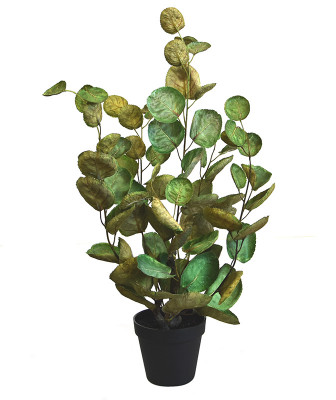 Planta Aralia Polyscias artificial 60 cm