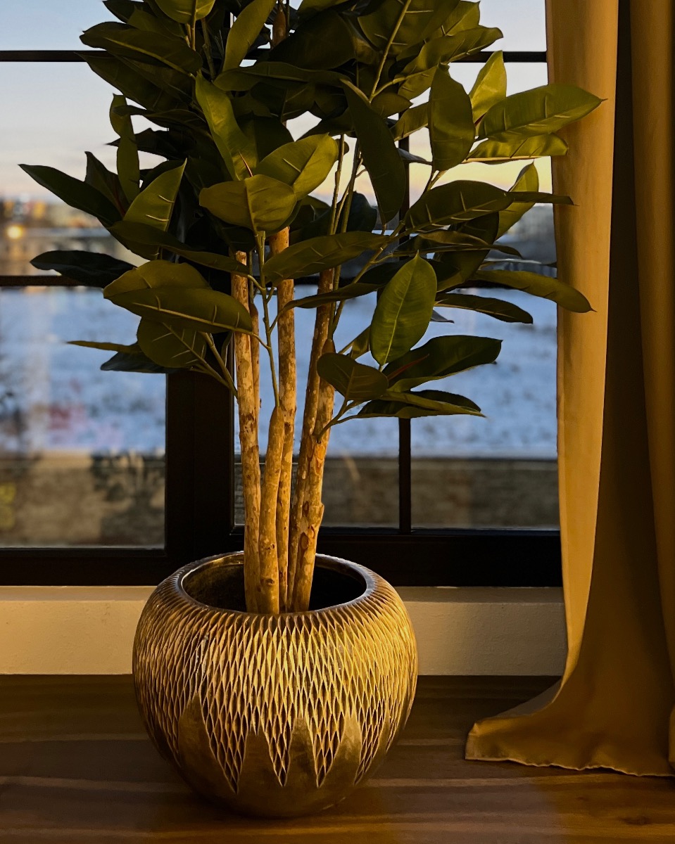 Kunstplant Combo - Ficus & Pot (180 cm)
