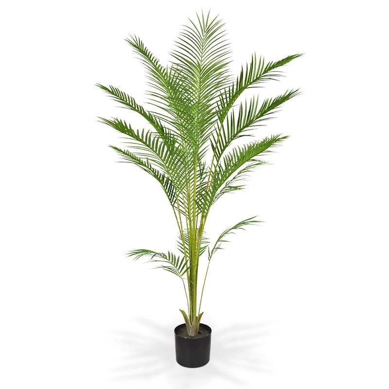 Dirbtinis Areka Palmė 165 cm vazone Dirbtinis Areka Palmė 165 cm vazone
