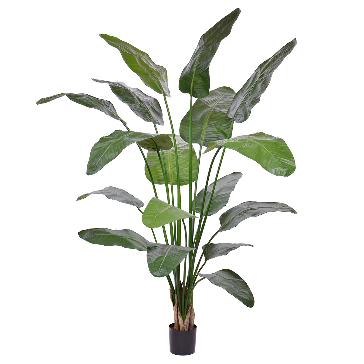 Artificial Strelitzia (200 cm)