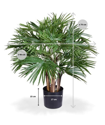Mākslīgā Vašingtonija palma Deluxe (70 cm)