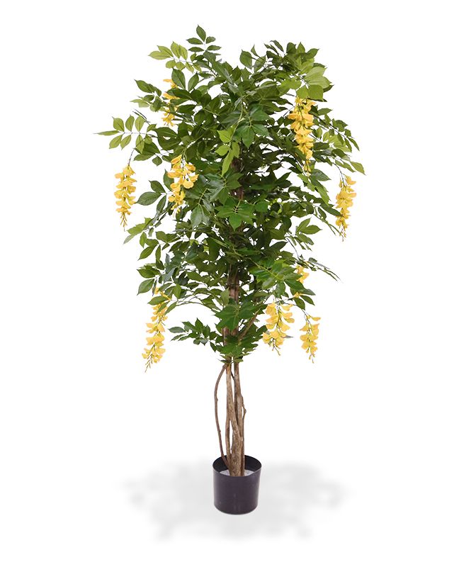 Dirbtinis Dirbtinė Visterija Dirbtinė medis 150 cm geltona Dirbtinis Dirbtinė Visterija Dirbtinė medis 150 cm geltona