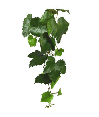 Konstgjord Fikus kvist (65 cm)