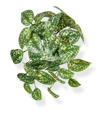 Planta pendurada Pictus artificial 25 cm variegado 
