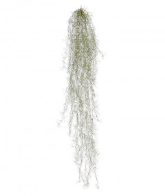 Netikras Dirbtinė Tilandsija Dirbtinė augalas Deluxe 120 cm