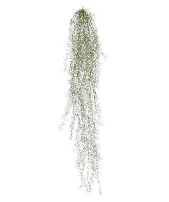 Konstgjord Tillandsia luftplanta (120 cm)