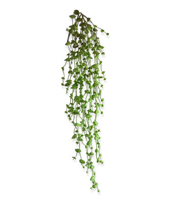 Boncuklu Senecio (60 cm)