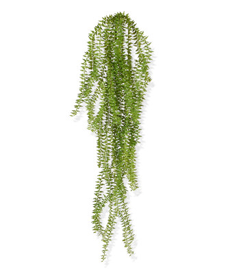 Planta rasteira Huperzia artificial 75 cm 