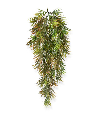 Planta pendurada de aspargos Sprengeri artificial 60 cm 