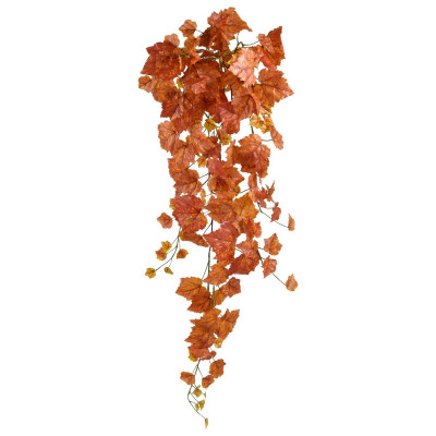 Winorośl jesienna wisząca (95 cm)