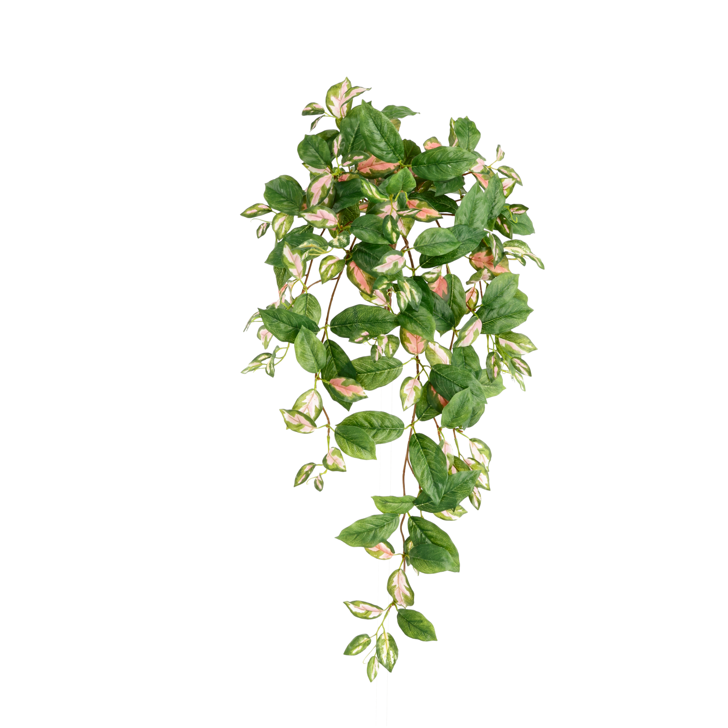 Dirbtinis augalas Carnosa Hoya (80 cm)