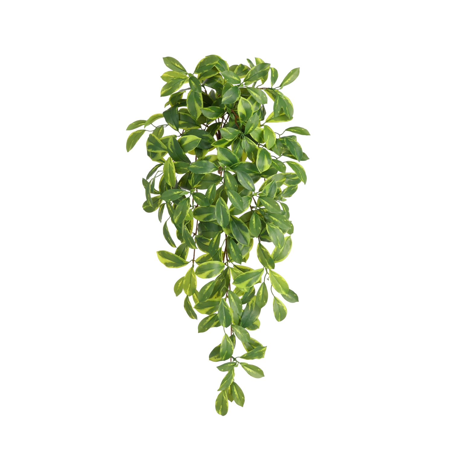 Artificial Hoya Carnosa (80 cm)