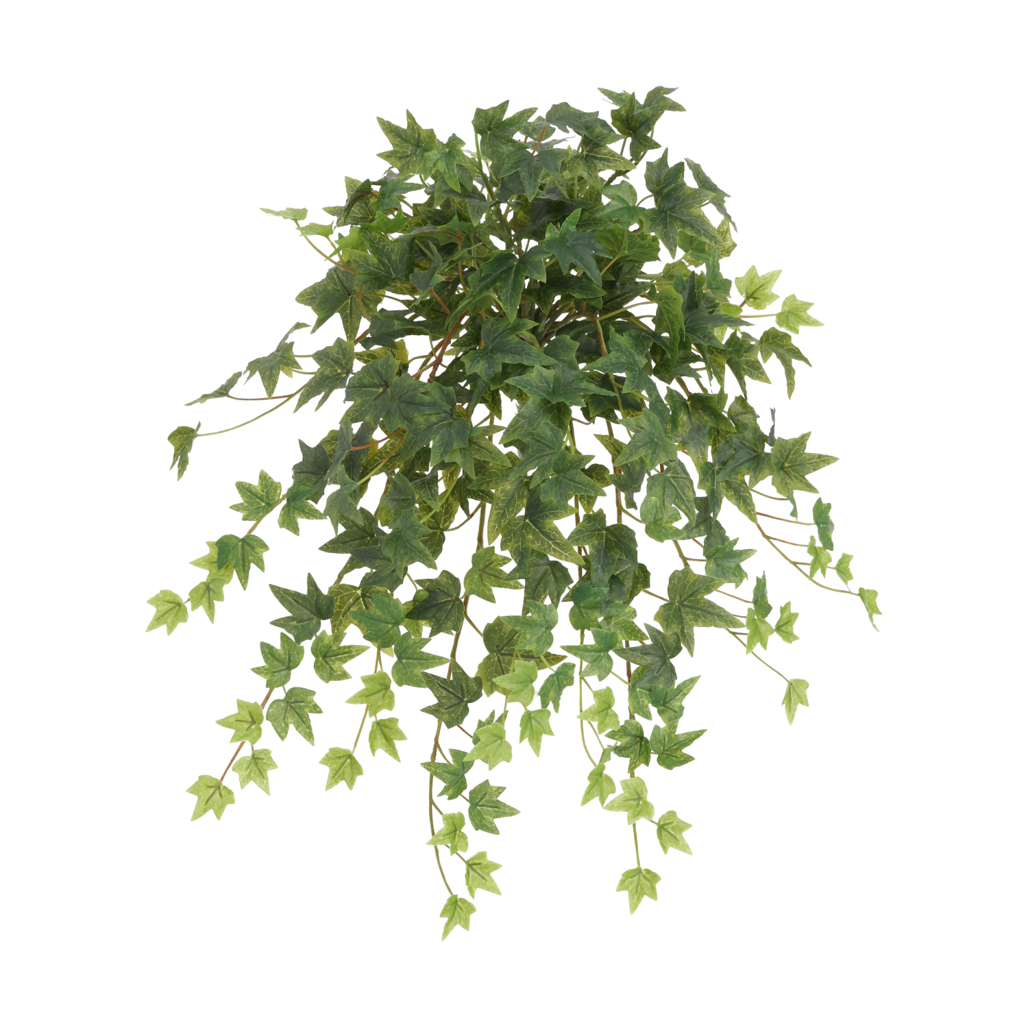 Artificial Hedera (30 cm)