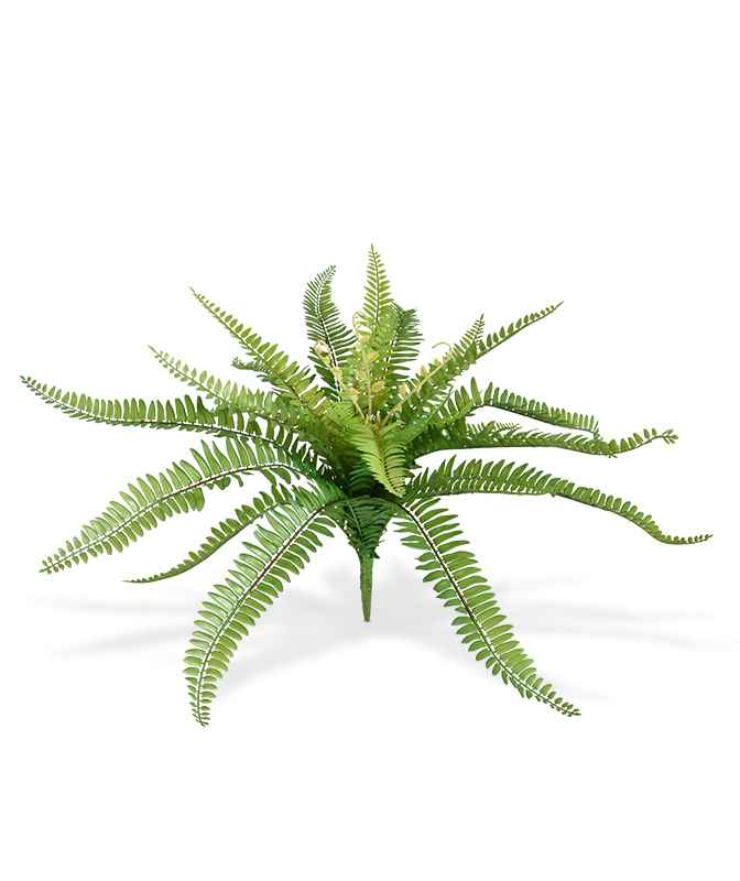 Planta artificial Boston (65 cm)