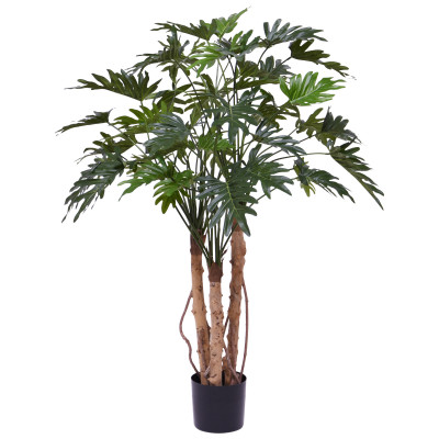 Philodendron (120 cm)