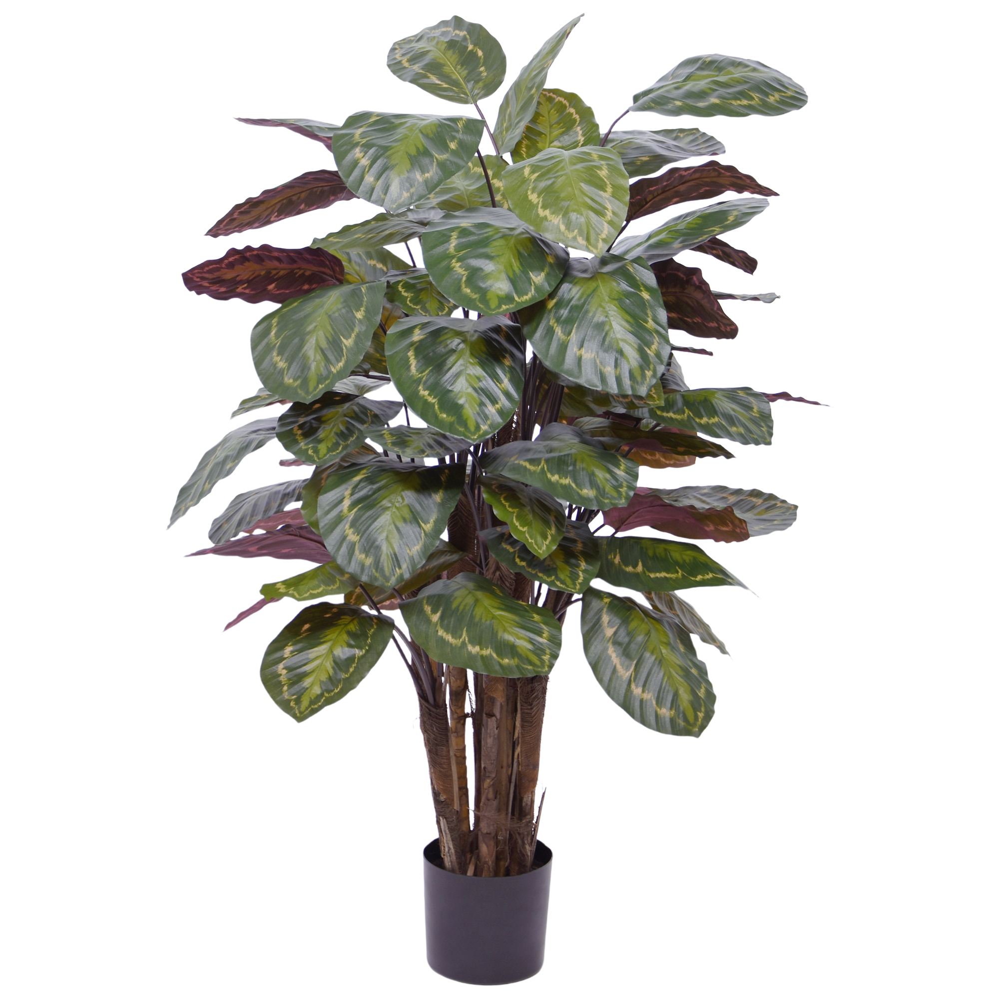 Artificial Calathea (125 cm) Artificial Calathea (125 cm)