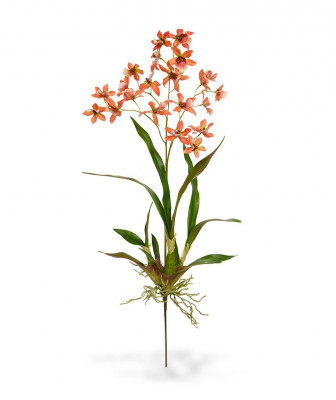 Dirbtinis Macara Orchidėja puokštė 80 cm oranžinė
