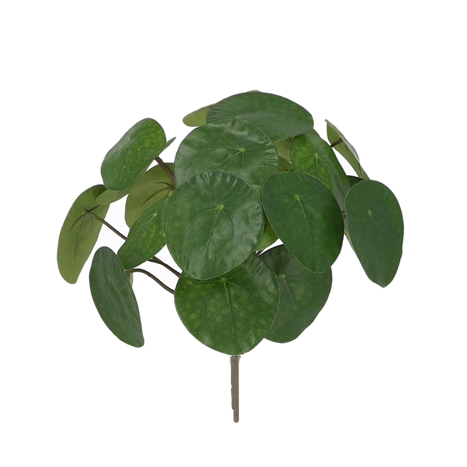 Dirbtinis augalas Kinijos pinigų augalas (30 cm)