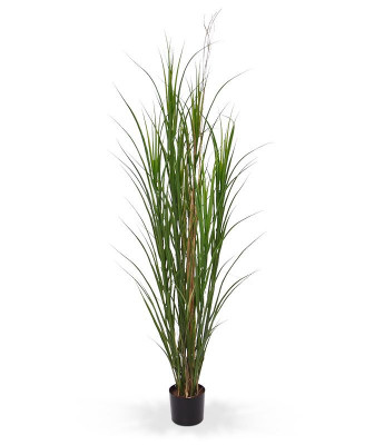 Mākslīgā Reed Grass Deluxe 165 cm UV zaļš