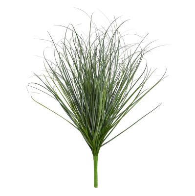 Grass plant (60 cm)