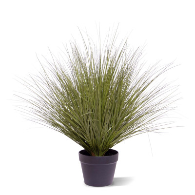 Grass plant (70 cm)