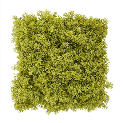 Konstgjord Mossmatta av renlav (25x25 cm)